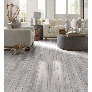 Traditions-Platinum | Yuma Carpets & Tile Inc